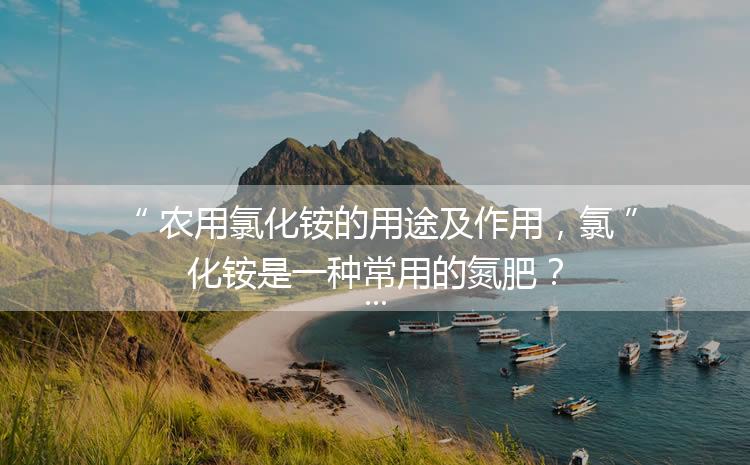 農(nóng)用氯化銨的用途及作用，氯化銨是一種常用的氮肥？