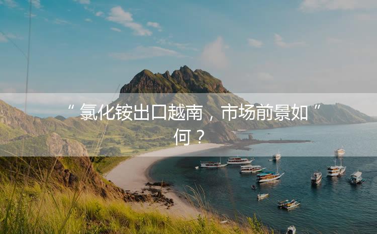 氯化銨出口越南，市場前景如何？